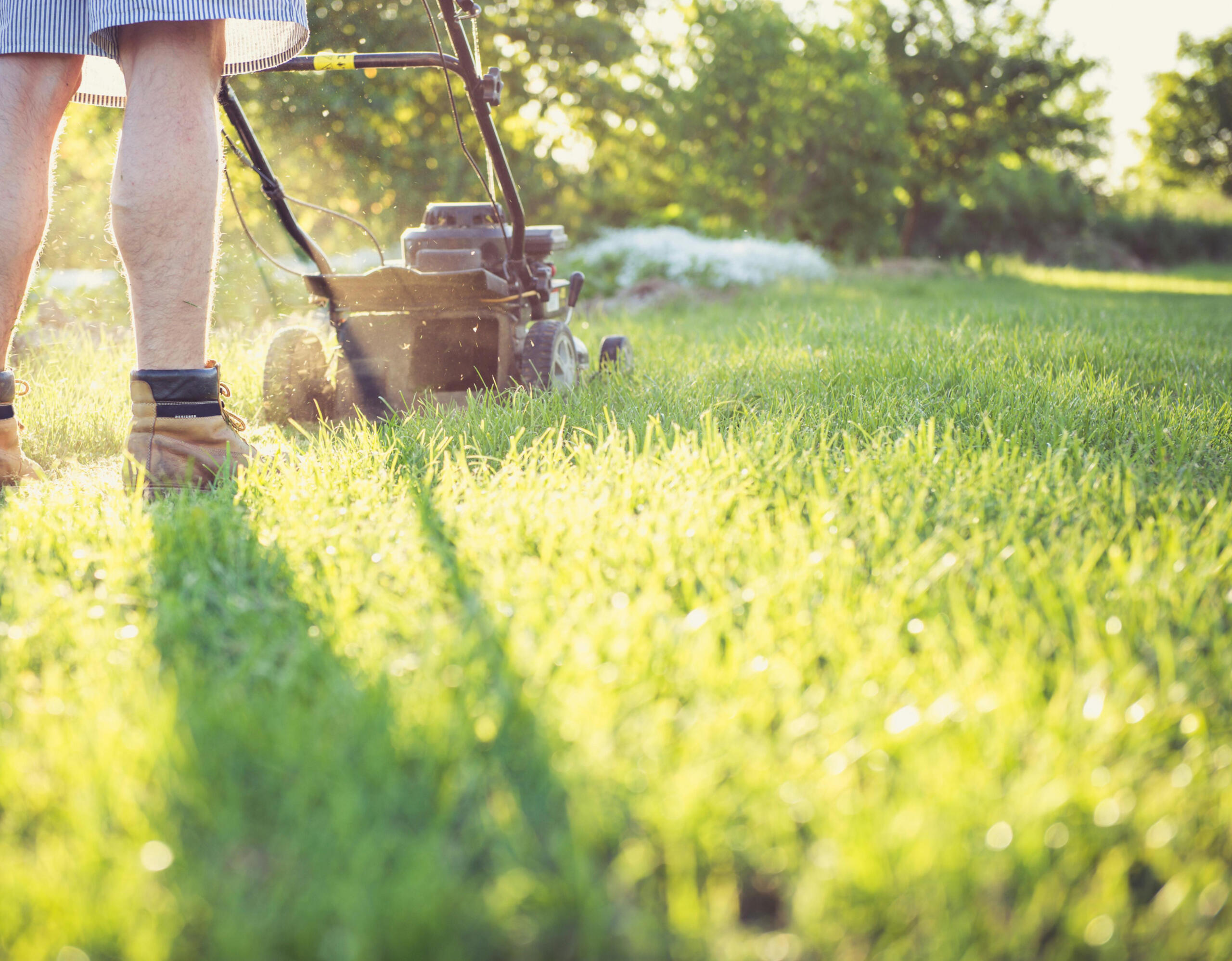 Rádi vám posekáme zahradu. Rádi vám posekáme zahradu.